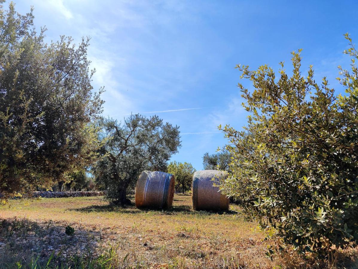 Come Una Volta - Il Trullo Alberobello Eksteriør billede